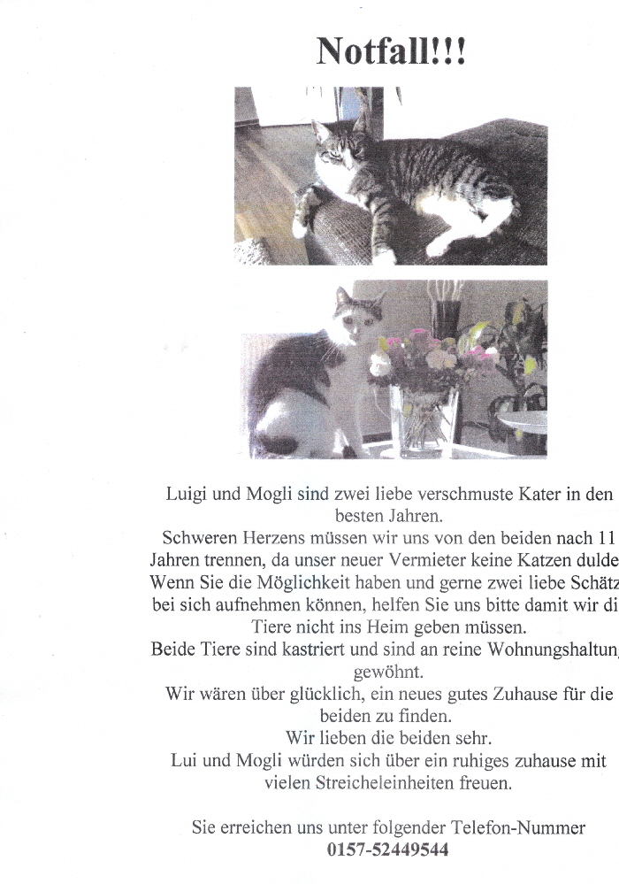 Luigi und Mogli06122016