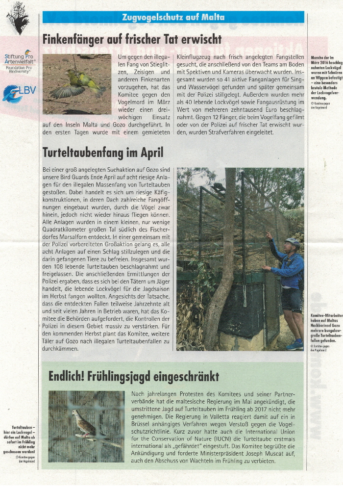 Vogelmord-201613092016_0001
