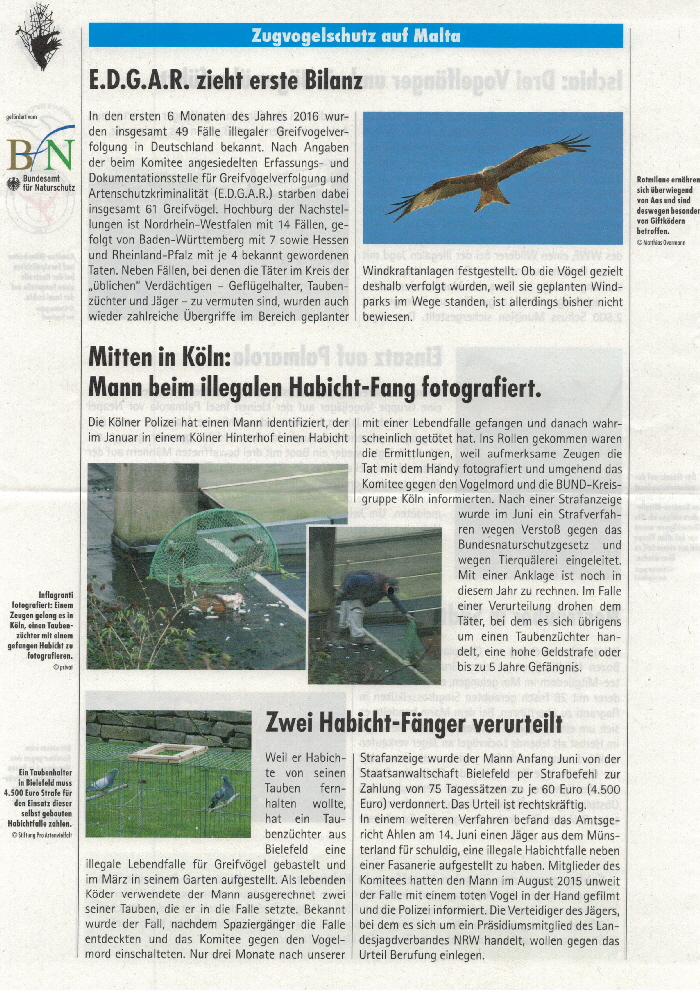 Vogelmord-201613092016_0003
