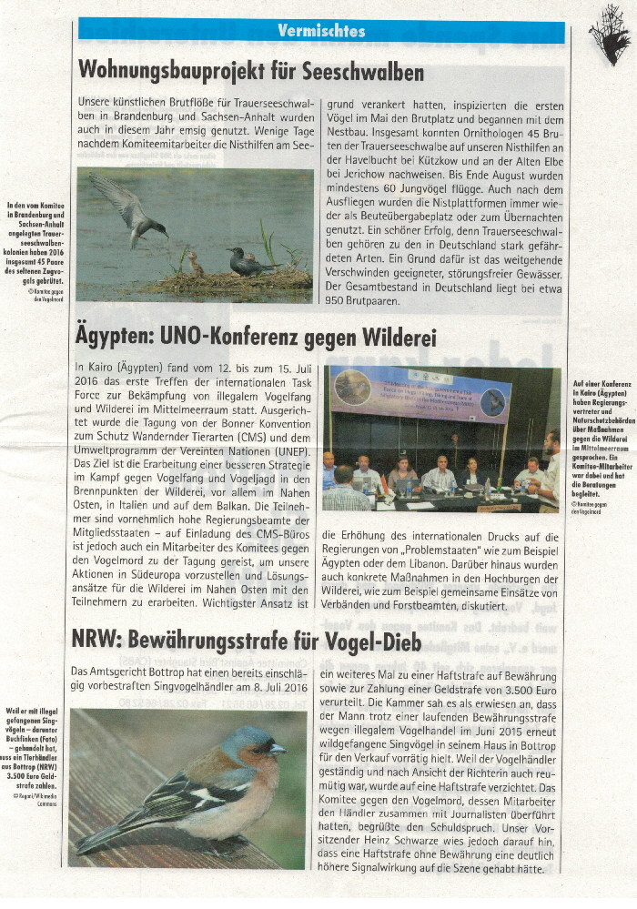 Vogelmord-201613092016_0006