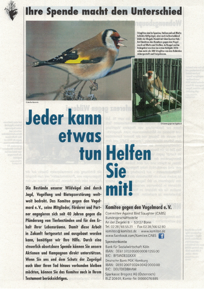 Vogelmord-201613092016_0007