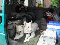 Tierarztpraxis Prinzenhof  Hol- und Bringservice