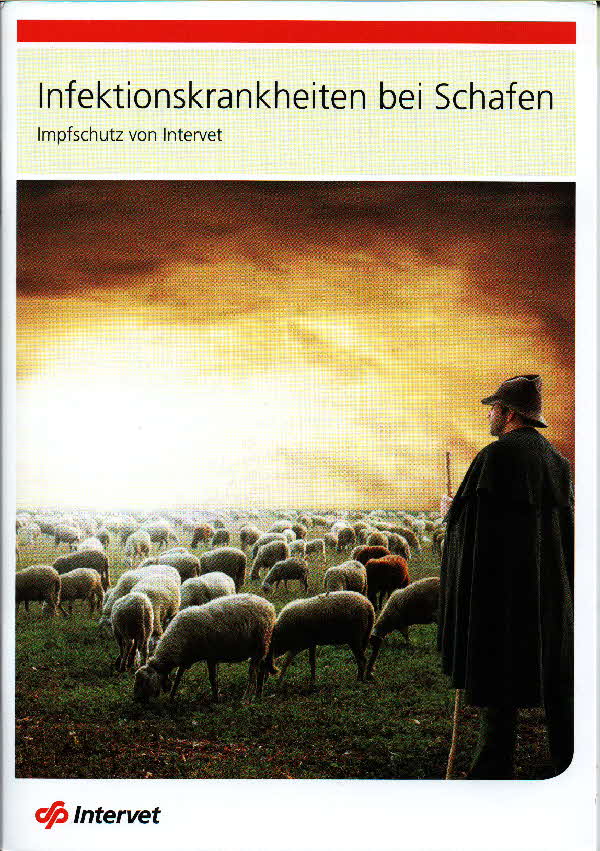 Tierarztpraxis Prinzenhof Infektionskrankheiten bei Schafen